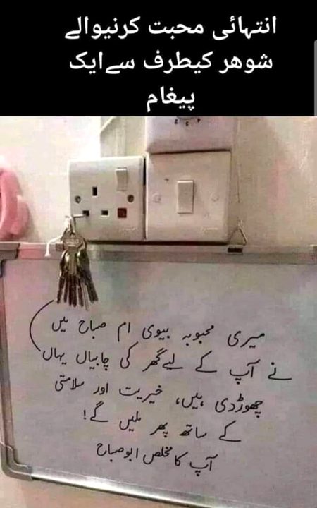Memes & Satire image