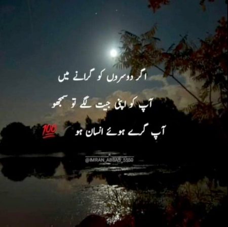 ❤💚💜❤💚💜❤💚💜