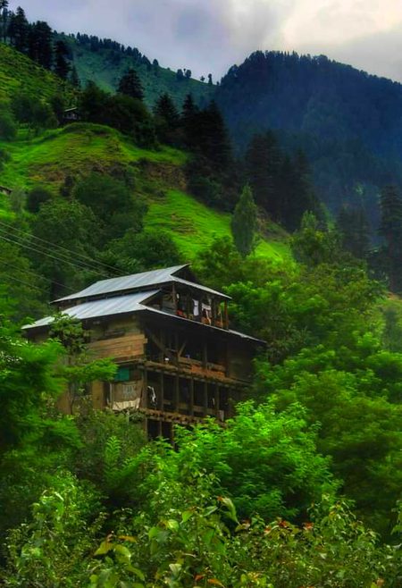 Beautiful Nature image