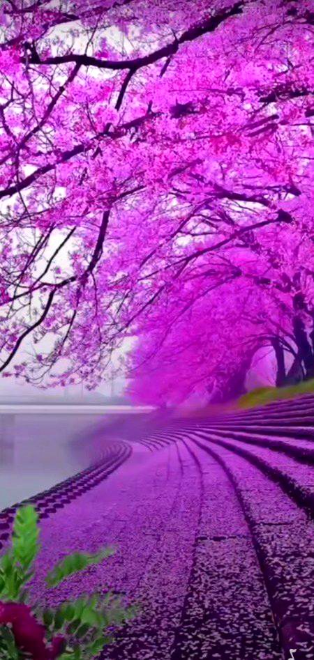 BEAUTIFUL NATURE