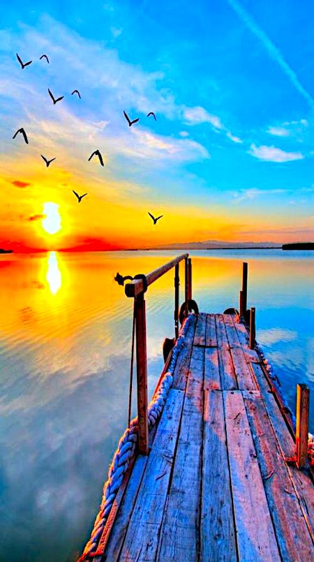 Beautiful Nature image