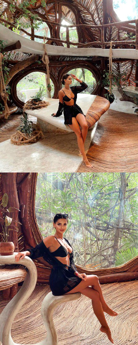 Indian Celebs image