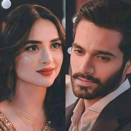 Pakistani Celebs image