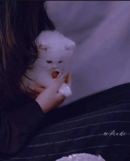 لے کر ہاتھوں میں ہاتھ عمر بھر کا سودا کر لیں
کچھ محبت تم کر لو کچھ محبت ہم کر لیں ❤️🙈