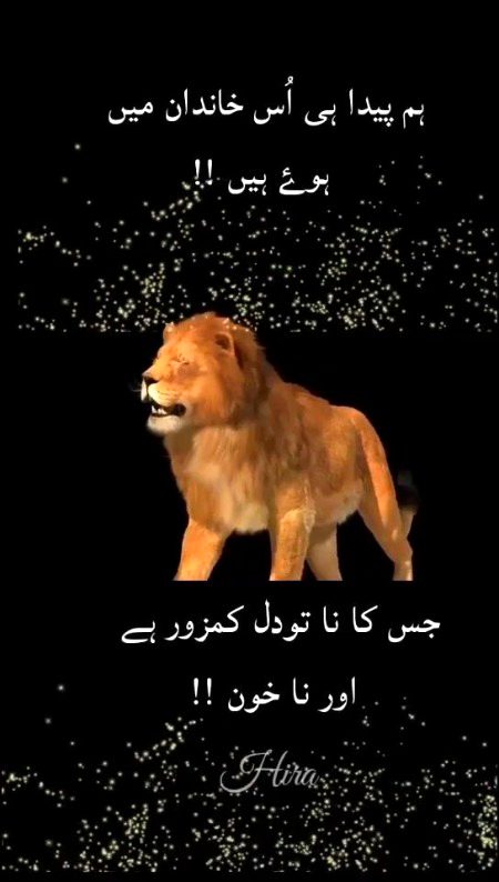 Attitude Poetry image