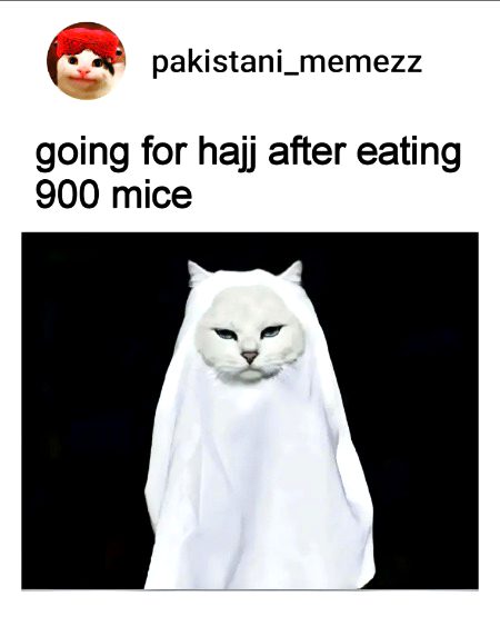 Memes & Satire image