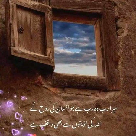 🖤💜❤️🖤💜❤️🖤💜❤️