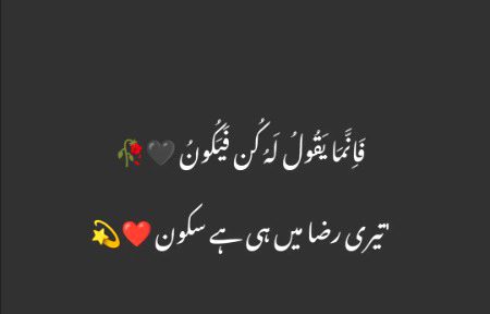 تیری رضا میں سکون ہے