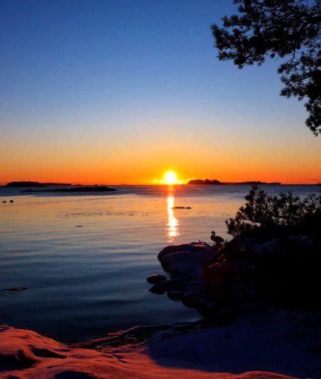 Beautiful Nature image