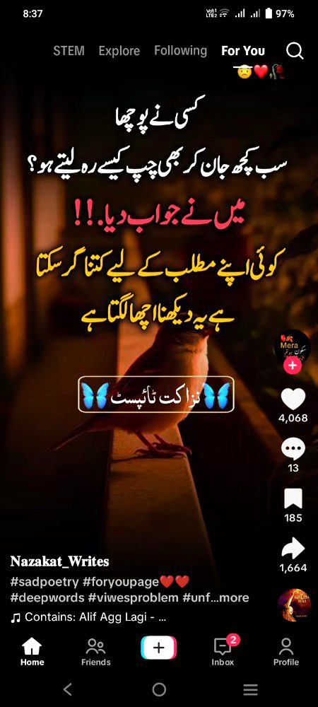 Asslem Alaikum