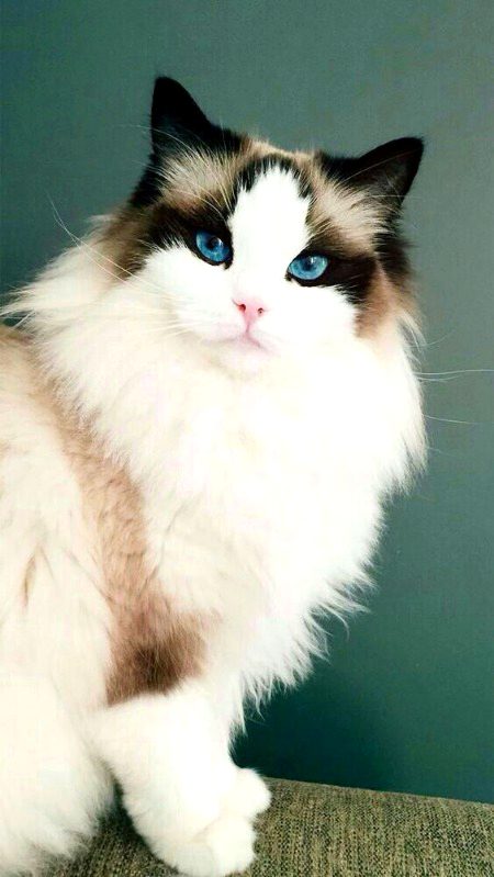 Beautiful Nature image