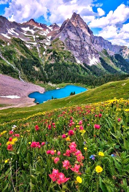 Beautiful Nature image