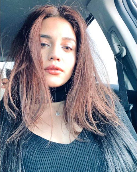 Pakistani Celebs image
