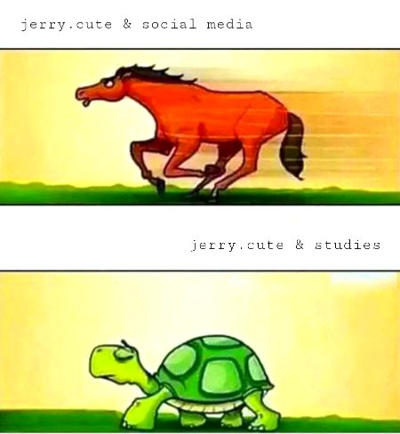 Damadam Roasting image