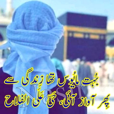 پوسٹ بائے قربان