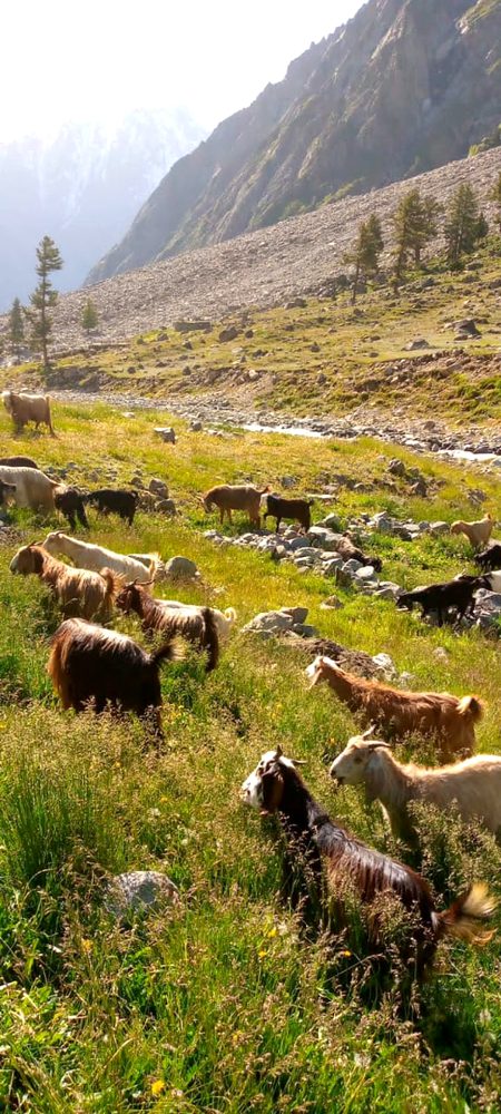 پِھر اُس نے مُسکرا کر دیکھا میری طرف
پِھر ذرا سی بات پر جِینا پڑا مجھے💫❤️
 ~🥺😒😔~