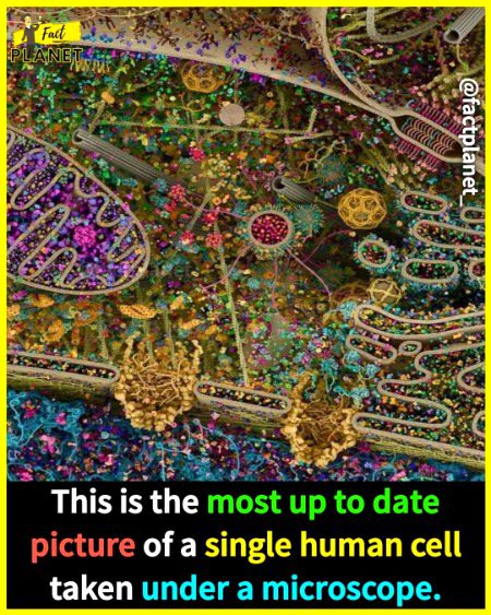 Interesting Posts image