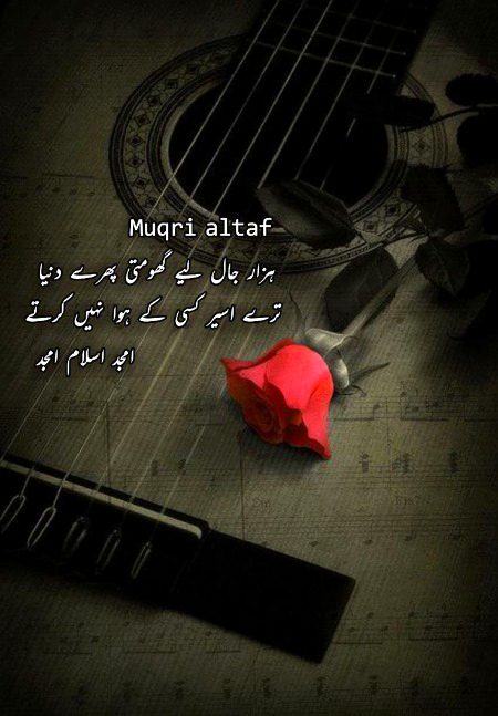 Azil sharing