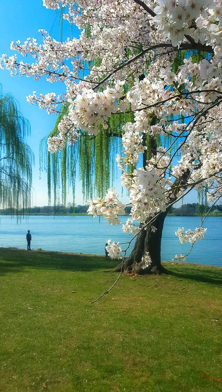 Beautiful Nature image