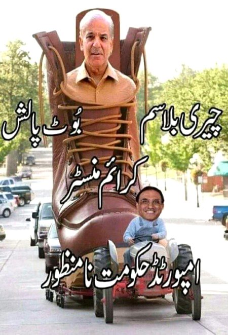 Memes & Satire image