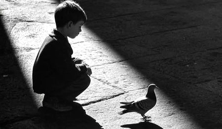 تھکن ہے تو ٹھہر جاؤ، کوئی دکھ ہے تو چیخو
کہ دریا کی طرح چپ چاپ بہنا خود کشی ہے