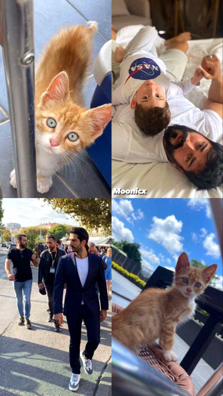 Turkish Celebs image