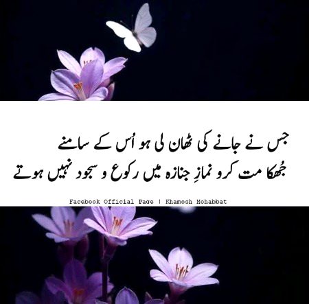 Attitude Poetry image
