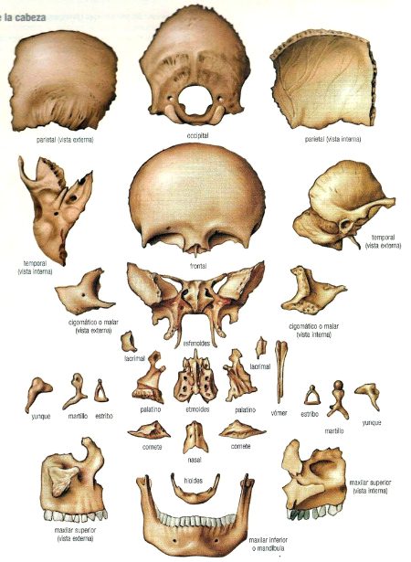 Tips for Students image