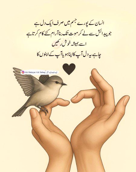 Dill ki khushi sab se pahly...