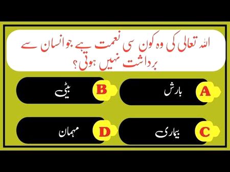 Knowledge Test image