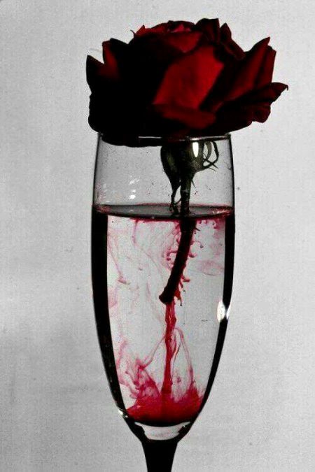 اب تو درد سہنے کی اتنی عادت ہوگئی ہے فرازؔ 
جب درد نہیں ملتا تو دردہوتاہے۔