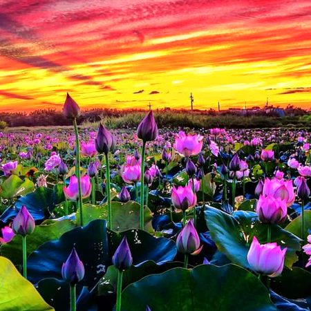 Beautiful Nature image