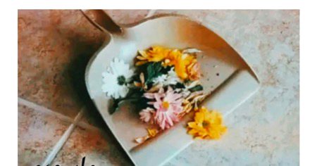 Beautiful Nature image