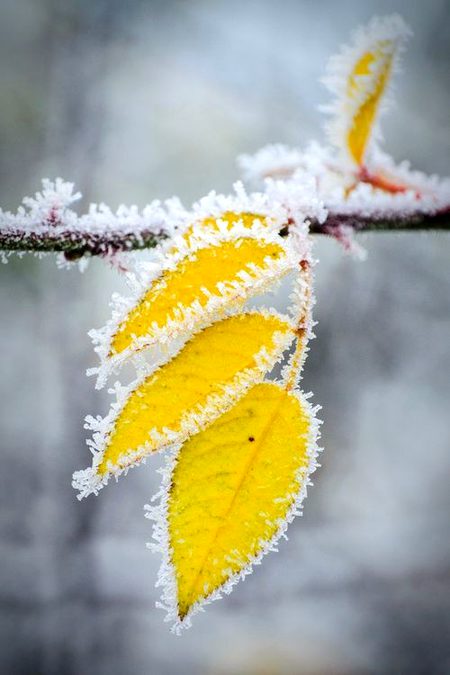 Beautiful Nature image