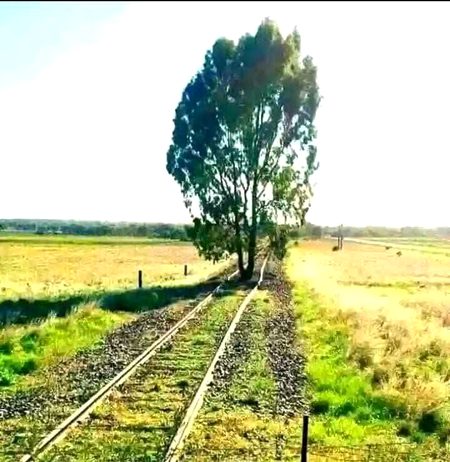 Beautiful Nature image