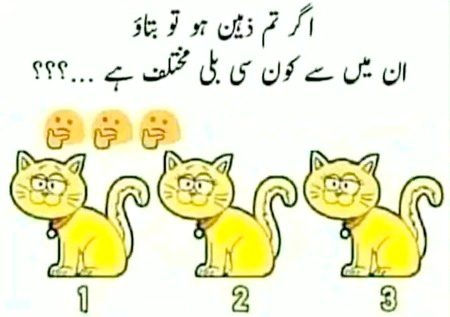 Knowledge Test image