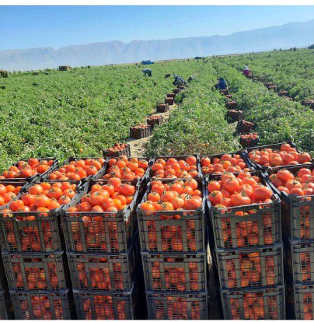 Beautiful Nature image