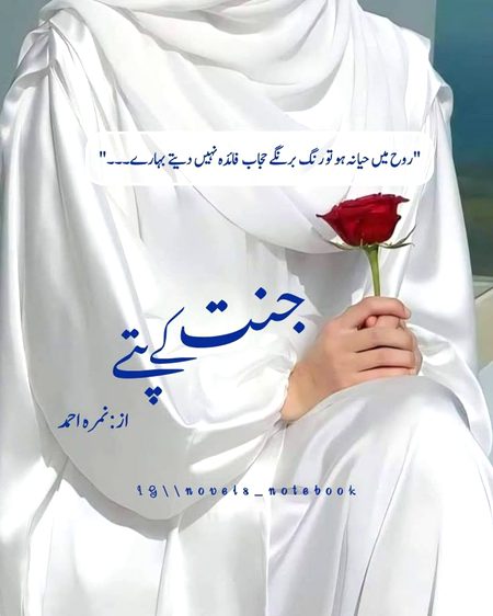 Romantic Novels image