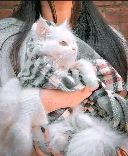 Beautiful Nature image