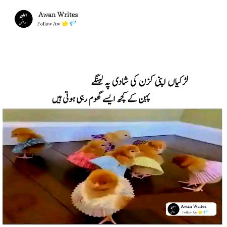 Memes & Satire image