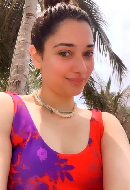 Indian Celebs image