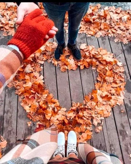 Beautiful Nature image