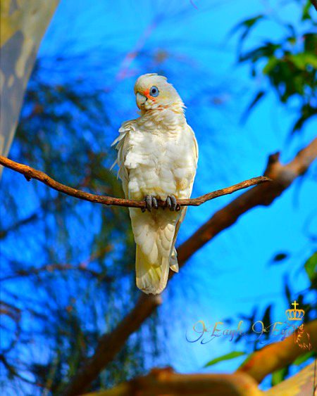 Beautiful Nature image