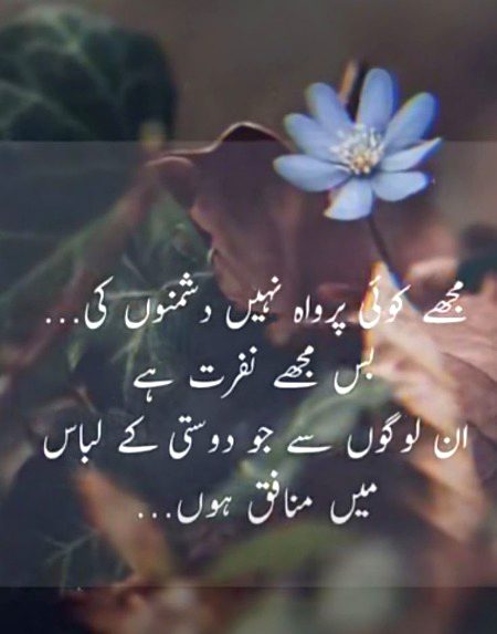 Khushboo❤❤