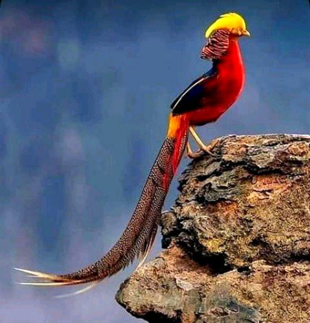 Beautiful Nature image