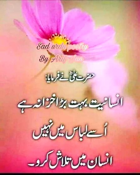 Islamic Quotes image