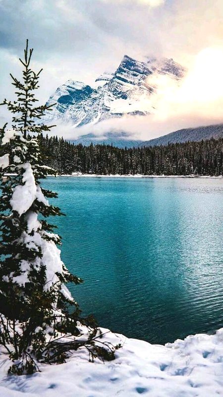 Beautiful Nature image