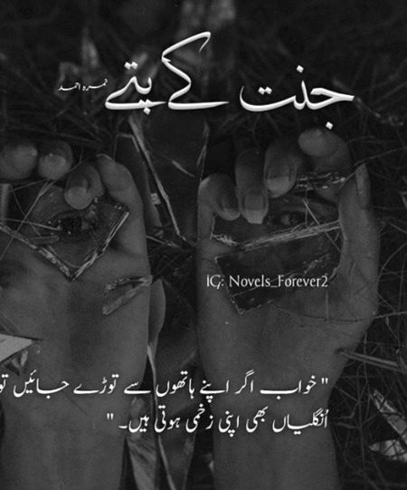 Romantic Novels image