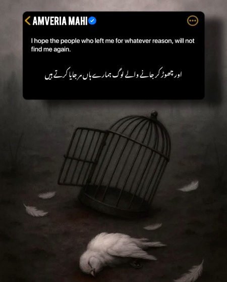 🖤🖤__ANعM__🖤🖤