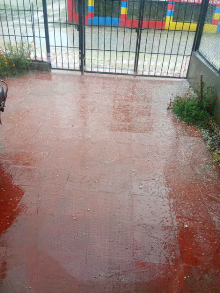 Beautiful Nature image